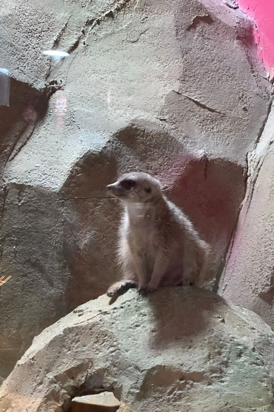 如何制定智能篮球训练计划_1